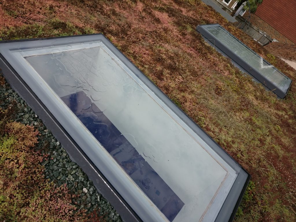 browns-cleaning.com. skylight windows cleaned on green-roof