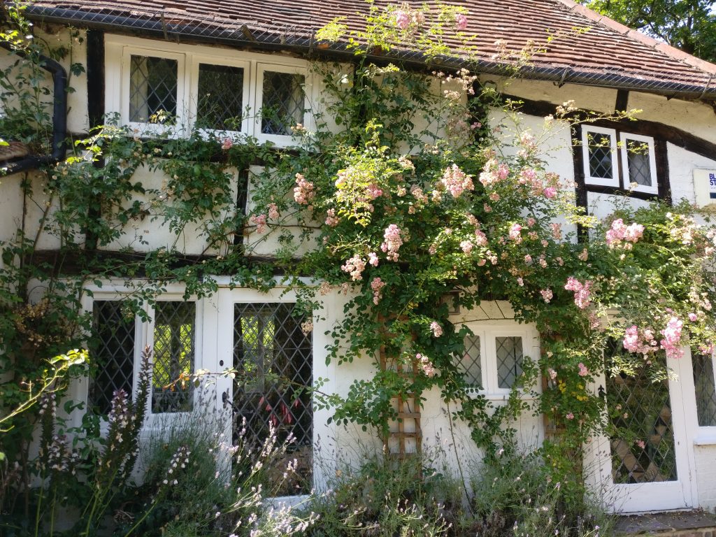 Leaded windows beside roses at a period property near Hadlow Down