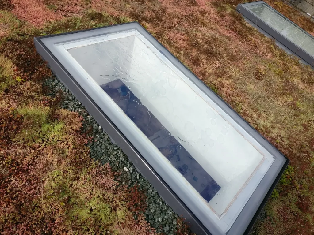 Rooflights being cleaned on a green roof near Turners Hill